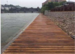 ����ľ�߂�ă�(y��u)�c(di��n)����Щ