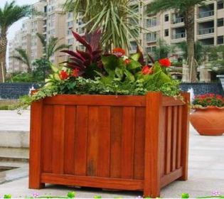 ����ľ��������c(di��n)