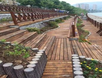 ����ľ�_�ѵ�ԭ�����  ��