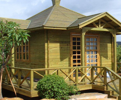 ����ľ�e�������Լ���(y��u)����ʲô