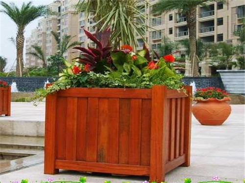 ����ľ����